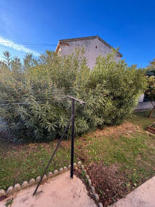 Photo de galerie - Avant 