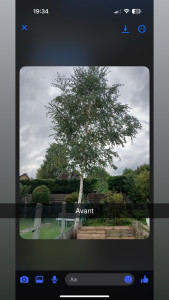 Photo de galerie - Abattage 