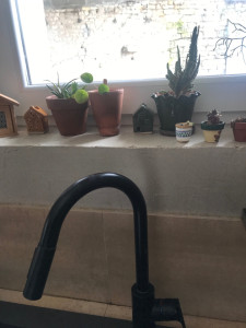 Allovoisins // Gallerie