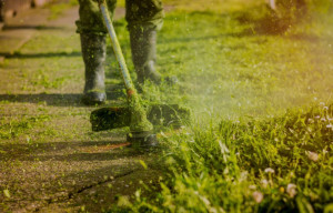 Photo de galerie - Débroussailleuse 