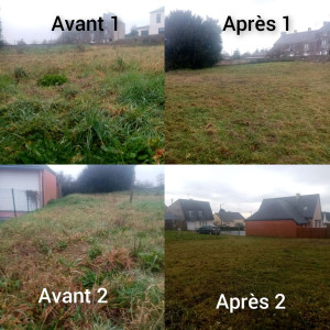 Photo de galerie - Réalisation de débroussaillage 
