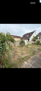 Photo de galerie - Tonte de pelouse - Débroussaillage