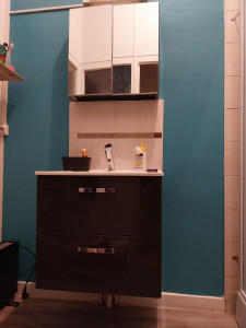 Photo de galerie - Montage meuble de salle de bain 