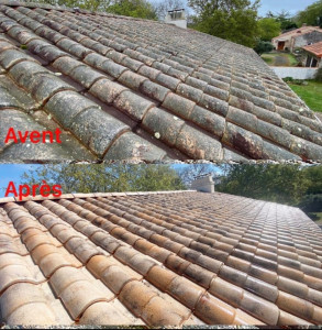 Photo de galerie - Nettoyage de toiture 