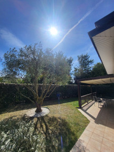 Photo de galerie - Taille strict et naturel 