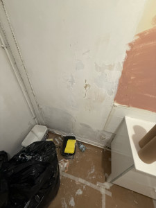 Photo de galerie - Peinture - Tapisserie