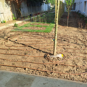 Photo de galerie - Paysagiste - Aménagement du jardin