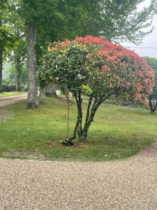 Photo de galerie - Aprez 