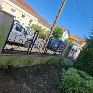 Photo de galerie - Dessouchage et taille de haie 