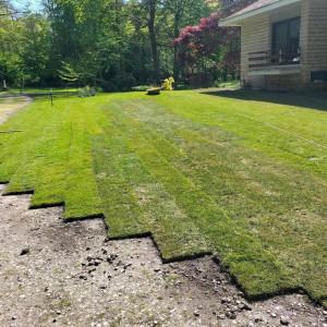 Photo de galerie - Paysagiste - Aménagement du jardin