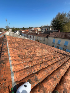 Photo de galerie - Couverture - Toiture