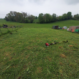 Photo de galerie - Après debrousaillage 
