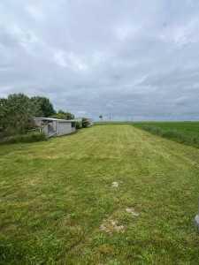 Photo de galerie - Tonte 