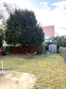 Photo de galerie - Remise en état d’un petit jardin avec taille de formation d’un If sur tige, abattage d’un fruitier et fauche avec évacuation des déchets verts de la partie enherbé. APRÈS 