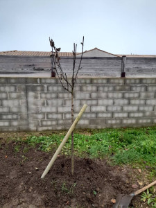 Photo de galerie - Jardinier