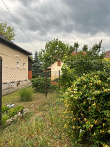 Photo de galerie -     Tondre la pelouse 