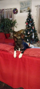 Photo de galerie - Tout est permis chez nounou 