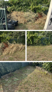 Photo de galerie - Tonte de pelouse - Débroussaillage