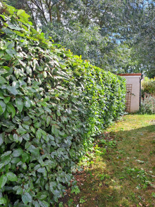 Photo de galerie - Chantier à Bruguieres 