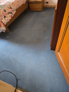 Photo de galerie - Nettoyage tapis résultat avant mon passage.