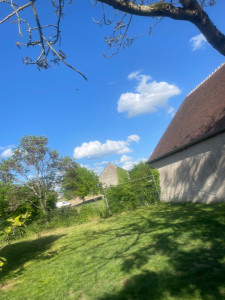 Photo de galerie - Tonte de pelouse et débroussaillage 