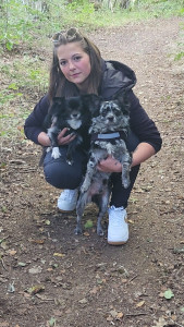 Photo de galerie - Ce son mes chiens sur la photo mais c'est pour dire que je fait aussi la nounou pour animaux c'est à dire je vais chez les personne pour les chats nourrir rentre compagnie. pour les chiens j'ai jamais faire encore mais avec plaisir 