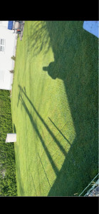 Photo de galerie - Jardin