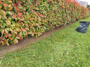 Photo de galerie - Nettoyage sous haie 