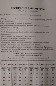 Photo de galerie - Voici l'annonce que je publie également sur format papier 