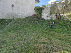 Photo de galerie - Débroussaillage