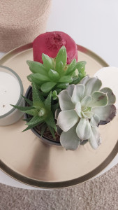 Photo de galerie - Prendre soin de la personne