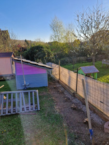 Photo de galerie - Nettoyage de haie, taille