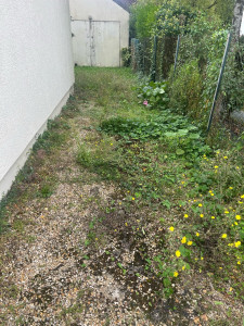 Photo de galerie - Désherbage d’une allée gravillonner 