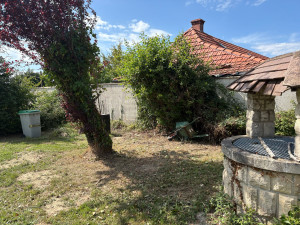 Photo de galerie - Arbres couper puis évacuation des déchets vert