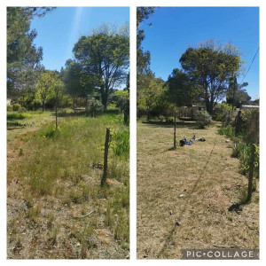 Photo de galerie - Tonte