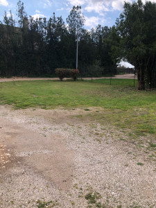 Photo de galerie - Tonte pelouse 