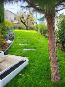 Photo de galerie - Paysagiste - Aménagement du jardin