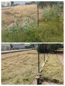 Photo de galerie - Tonte de pelouse - Débroussaillage