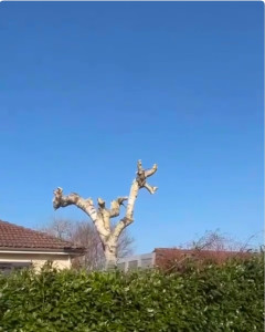 Photo de galerie - Après avant