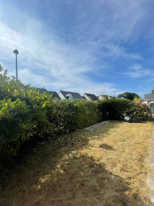 Photo de galerie - Taille de haie et tonte de pelouse 