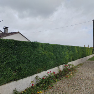 Photo de galerie - Apres