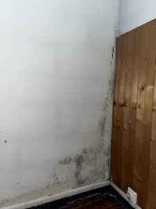 Photo de galerie - Peinture - Tapisserie