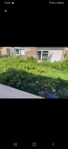 Photo de galerie - Avant 