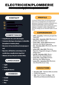 Photo de galerie - CV Electricien