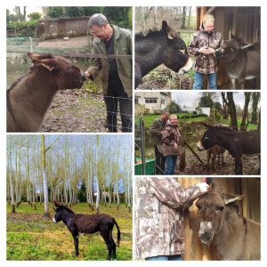 Photo de galerie - Garde animaux