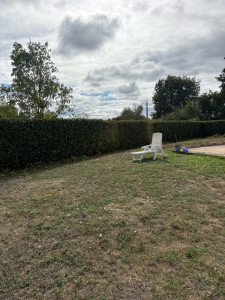 Photo de galerie - Taille de haie de Photinia