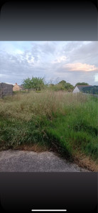 Photo de galerie - Tonte de pelouse - Débroussaillage