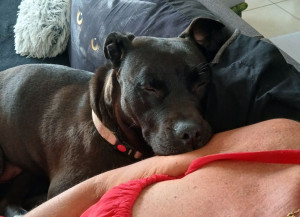 Photo de galerie - Perséphone en pleine sieste 