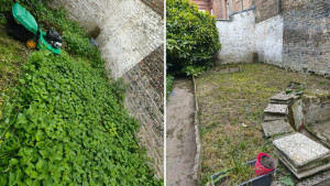 Photo de galerie - Voici avant après débroussaillage 