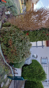 Photo de galerie - Paysagiste - Aménagement du jardin